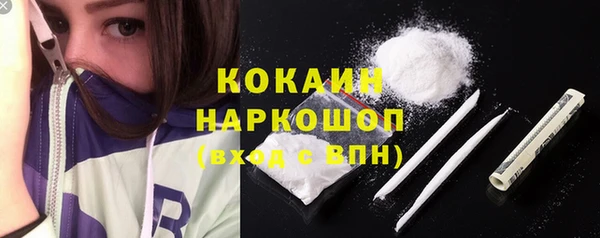 крисы Баксан