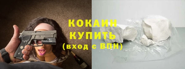 крисы Баксан