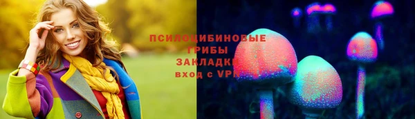крисы Баксан