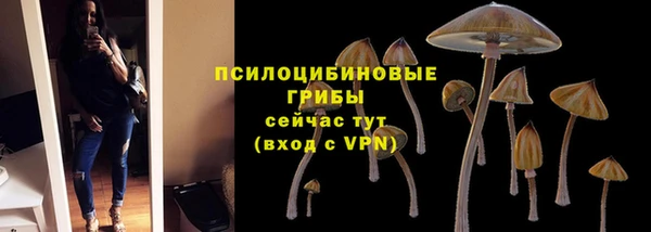 крисы Баксан