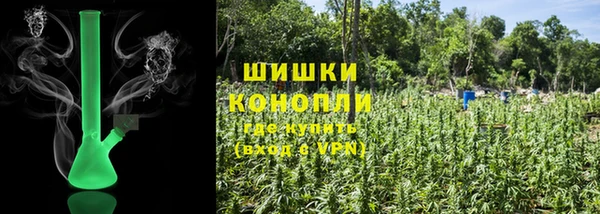 крисы Баксан