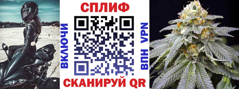 hydra   где купить наркоту  Унеча  Шишки марихуана планчик 